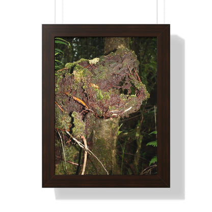 Rainforest Trails & Views - Gallery Canvas Wraps, Framed Vertical Poster - El Yunque National Forest - Puerto Rico - Tradewinds trail decomposing tree - Green Forest Home