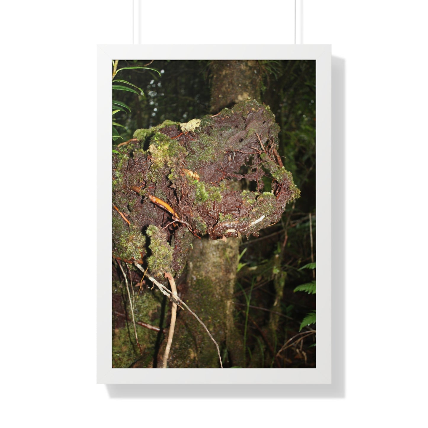 Rainforest Trails & Views - Gallery Canvas Wraps, Framed Vertical Poster - El Yunque National Forest - Puerto Rico - Tradewinds trail decomposing tree - Green Forest Home