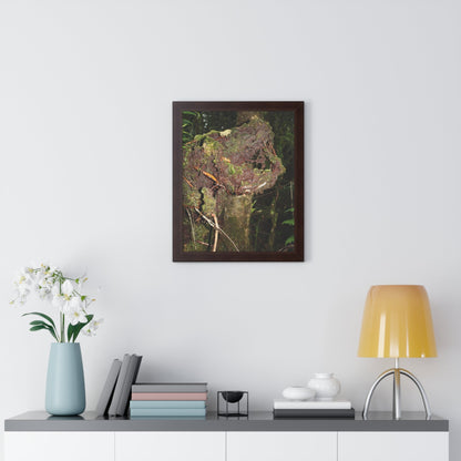 Rainforest Trails & Views - Gallery Canvas Wraps, Framed Vertical Poster - El Yunque National Forest - Puerto Rico - Tradewinds trail decomposing tree - Green Forest Home