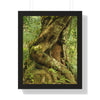 Rainforest Trails & Views - Gallery Canvas Wraps, Framed Vertical Poster - El Yunque National Forest - Puerto Rico - Tradewinds trail decomposing tree - Green Forest Home