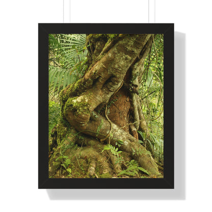 Rainforest Trails & Views - Gallery Canvas Wraps, Framed Vertical Poster - El Yunque National Forest - Puerto Rico - Tradewinds trail decomposing tree - Green Forest Home