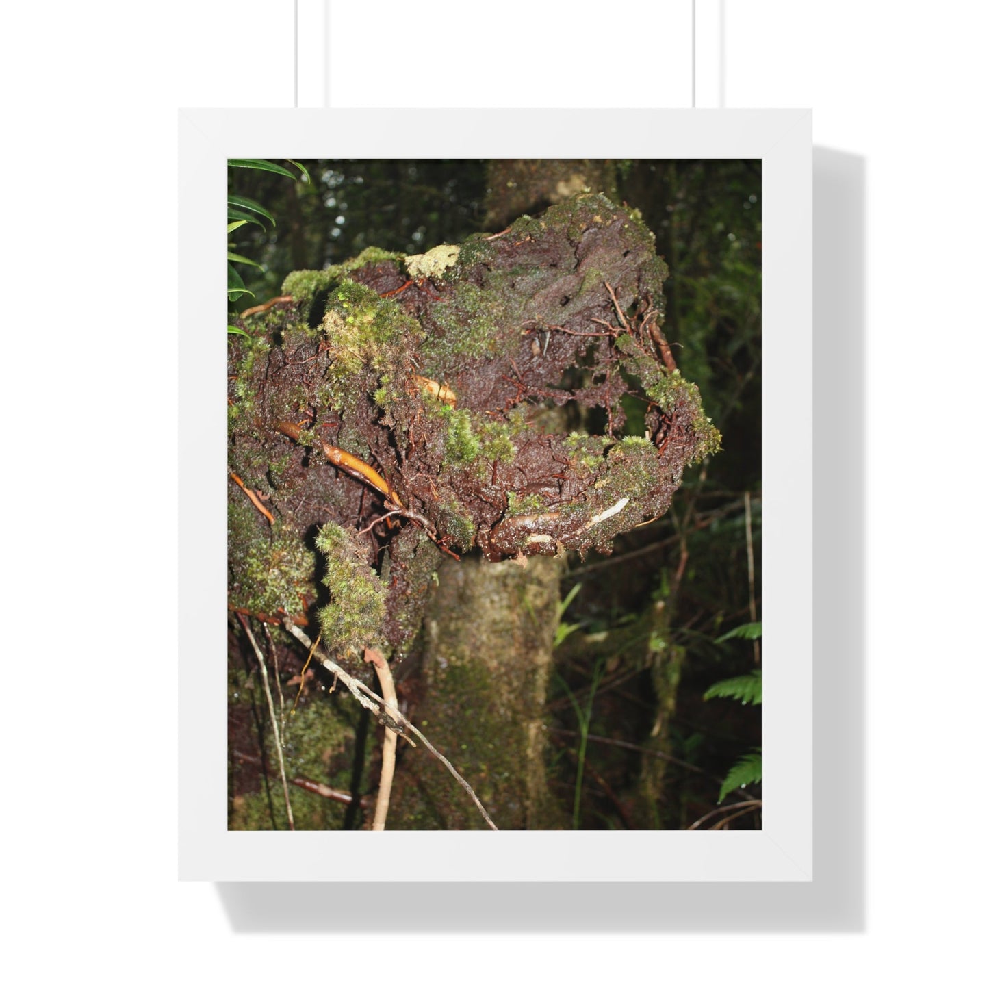 Rainforest Trails & Views - Gallery Canvas Wraps, Framed Vertical Poster - El Yunque National Forest - Puerto Rico - Tradewinds trail decomposing tree - Green Forest Home