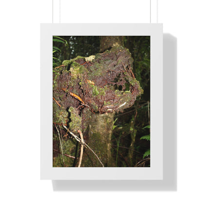 Rainforest Trails & Views - Gallery Canvas Wraps, Framed Vertical Poster - El Yunque National Forest - Puerto Rico - Tradewinds trail decomposing tree - Green Forest Home