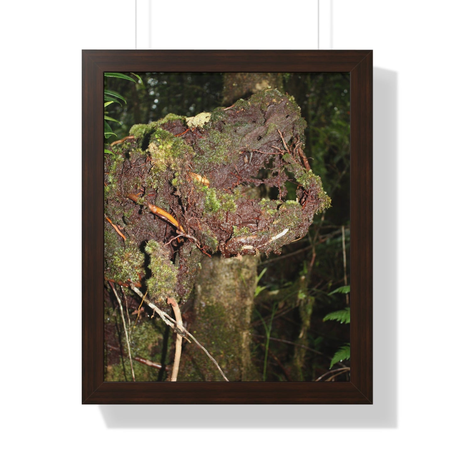 Rainforest Trails & Views - Gallery Canvas Wraps, Framed Vertical Poster - El Yunque National Forest - Puerto Rico - Tradewinds trail decomposing tree - Green Forest Home