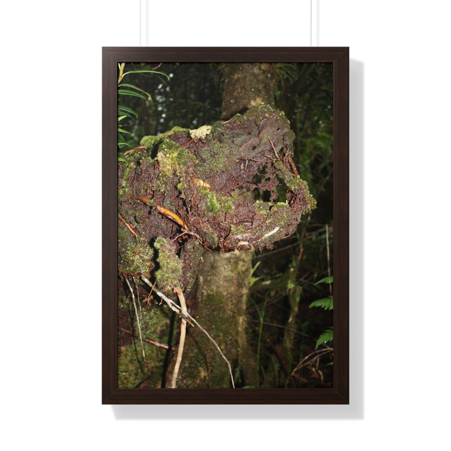 Rainforest Trails & Views - Gallery Canvas Wraps, Framed Vertical Poster - El Yunque National Forest - Puerto Rico - Tradewinds trail decomposing tree - Green Forest Home