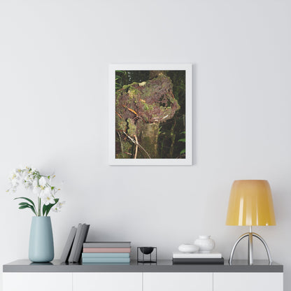 Rainforest Trails & Views - Gallery Canvas Wraps, Framed Vertical Poster - El Yunque National Forest - Puerto Rico - Tradewinds trail decomposing tree - Green Forest Home