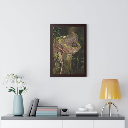 Rainforest Trails & Views - Gallery Canvas Wraps, Framed Vertical Poster - El Yunque National Forest - Puerto Rico - Tradewinds trail decomposing tree - Green Forest Home