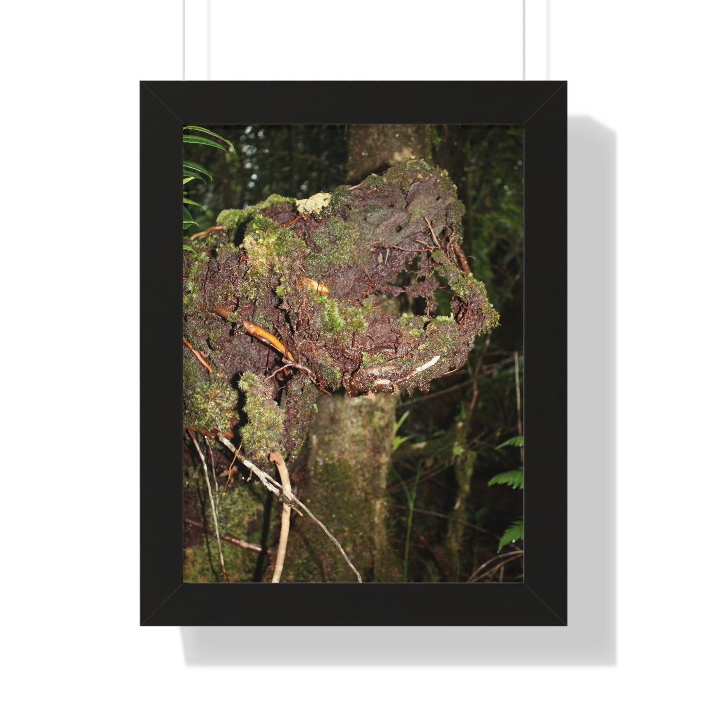 Rainforest Trails & Views - Gallery Canvas Wraps, Framed Vertical Poster - El Yunque National Forest - Puerto Rico - Tradewinds trail decomposing tree - Green Forest Home