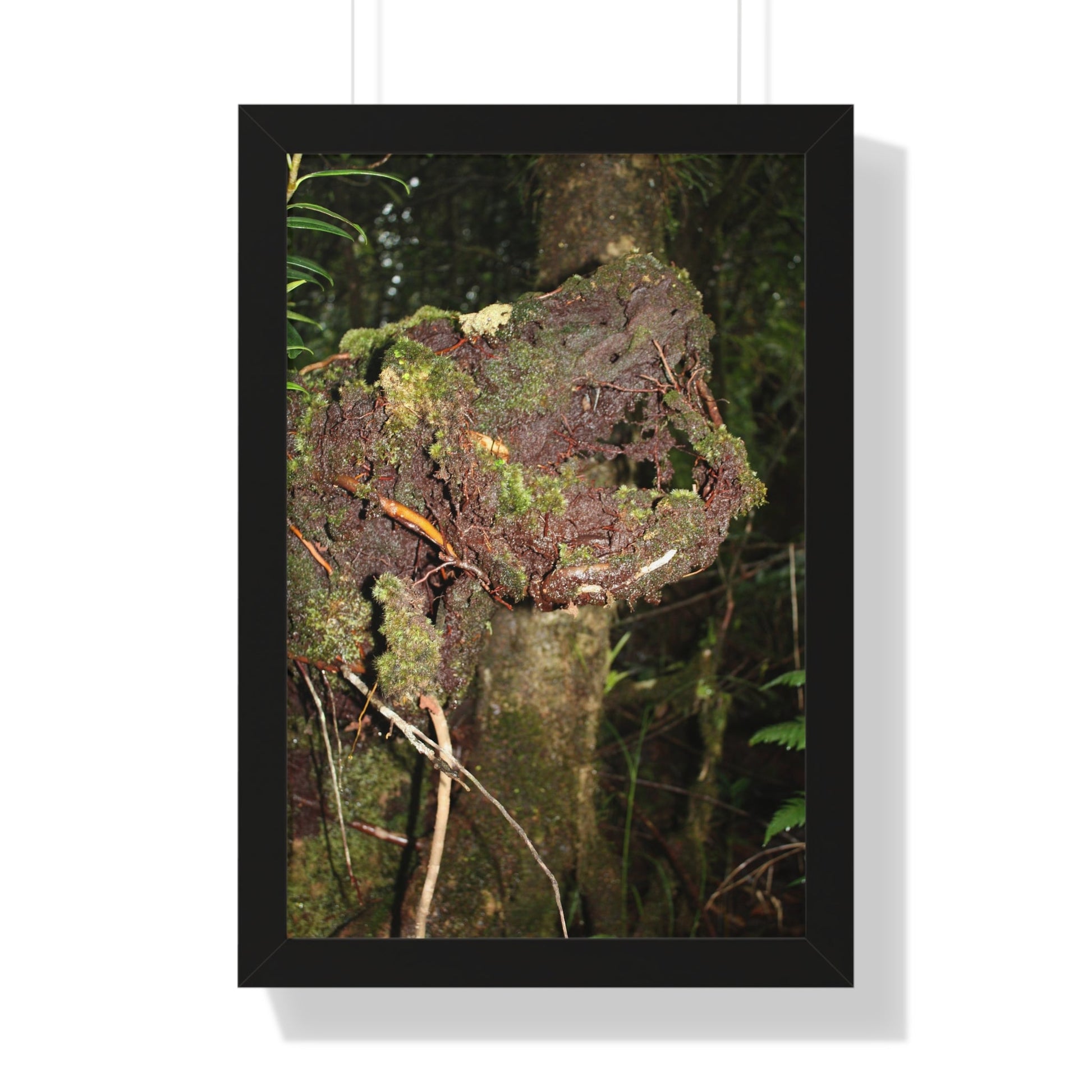 Rainforest Trails & Views - Gallery Canvas Wraps, Framed Vertical Poster - El Yunque National Forest - Puerto Rico - Tradewinds trail decomposing tree - Green Forest Home