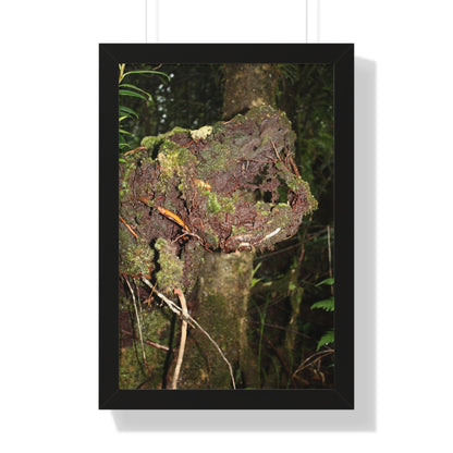 Rainforest Trails & Views - Gallery Canvas Wraps, Framed Vertical Poster - El Yunque National Forest - Puerto Rico - Tradewinds trail decomposing tree - Green Forest Home