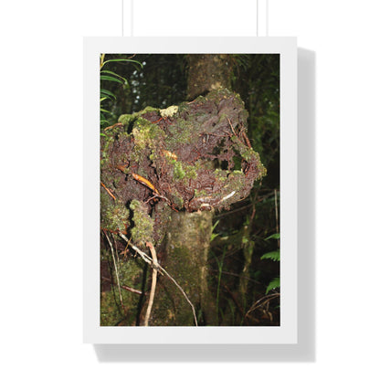 Rainforest Trails & Views - Gallery Canvas Wraps, Framed Vertical Poster - El Yunque National Forest - Puerto Rico - Tradewinds trail decomposing tree - Green Forest Home