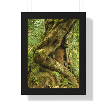 Rainforest Trails & Views - Gallery Canvas Wraps, Framed Vertical Poster - El Yunque National Forest - Puerto Rico - Tradewinds trail decomposing tree - Green Forest Home