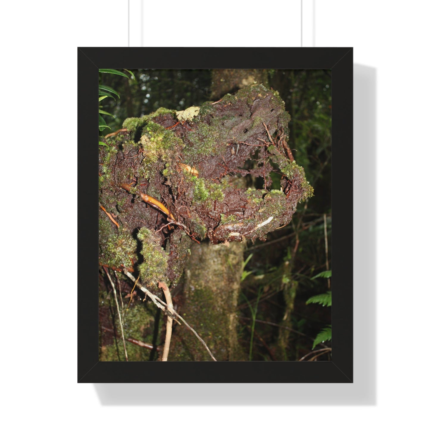 Rainforest Trails & Views - Gallery Canvas Wraps, Framed Vertical Poster - El Yunque National Forest - Puerto Rico - Tradewinds trail decomposing tree - Green Forest Home
