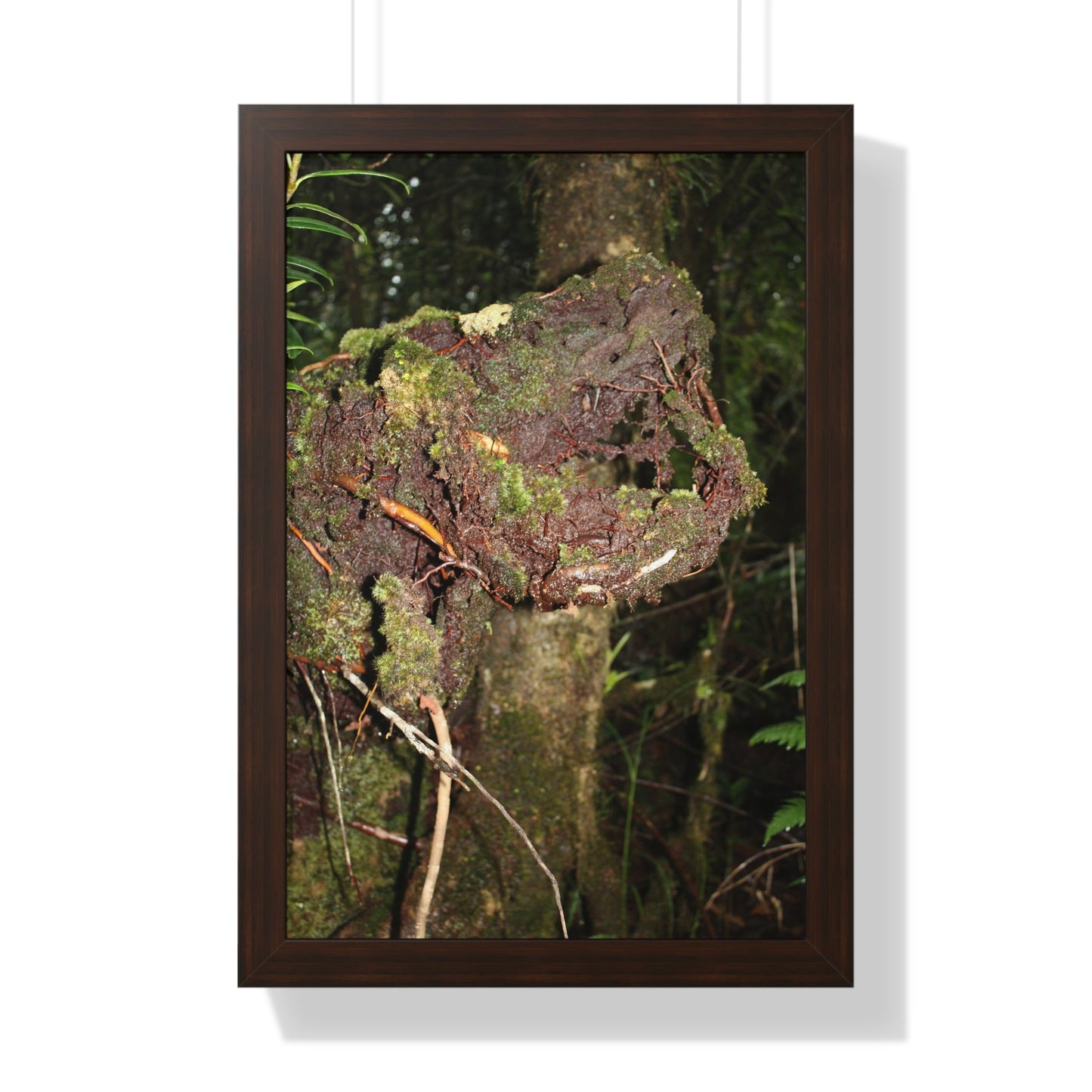 Rainforest Trails & Views - Gallery Canvas Wraps, Framed Vertical Poster - El Yunque National Forest - Puerto Rico - Tradewinds trail decomposing tree - Green Forest Home