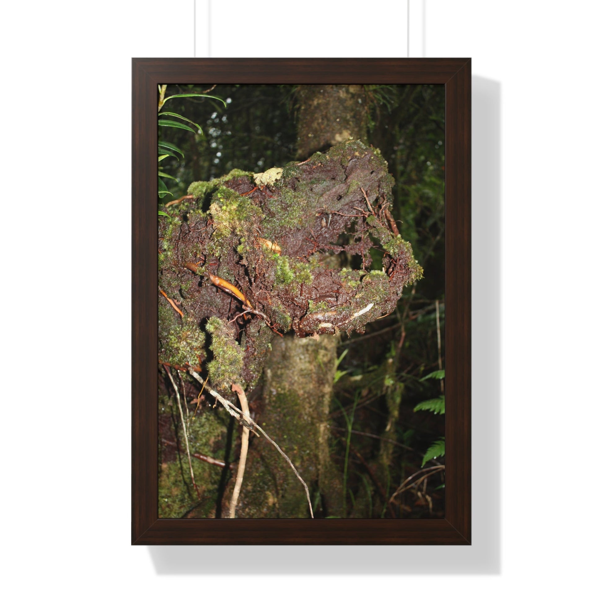 Rainforest Trails & Views - Gallery Canvas Wraps, Framed Vertical Poster - El Yunque National Forest - Puerto Rico - Tradewinds trail decomposing tree - Green Forest Home