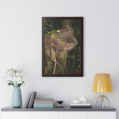 Rainforest Trails & Views - Gallery Canvas Wraps, Framed Vertical Poster - El Yunque National Forest - Puerto Rico - Tradewinds trail decomposing tree - Green Forest Home