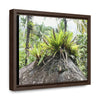 Rainforest Trails & Views - Gallery Canvas Wraps, Horizontal Frame - Bromeliads on boulder in Rio Sabana Park in El Yunque PR - Green Forest Home