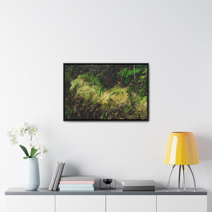 Rainforest Trails & Views - Gallery Canvas Wraps, Horizontal Frame - El Yunque National Forest - PR - PR191 closed road - Huge Boulder with moss - Green Forest Home