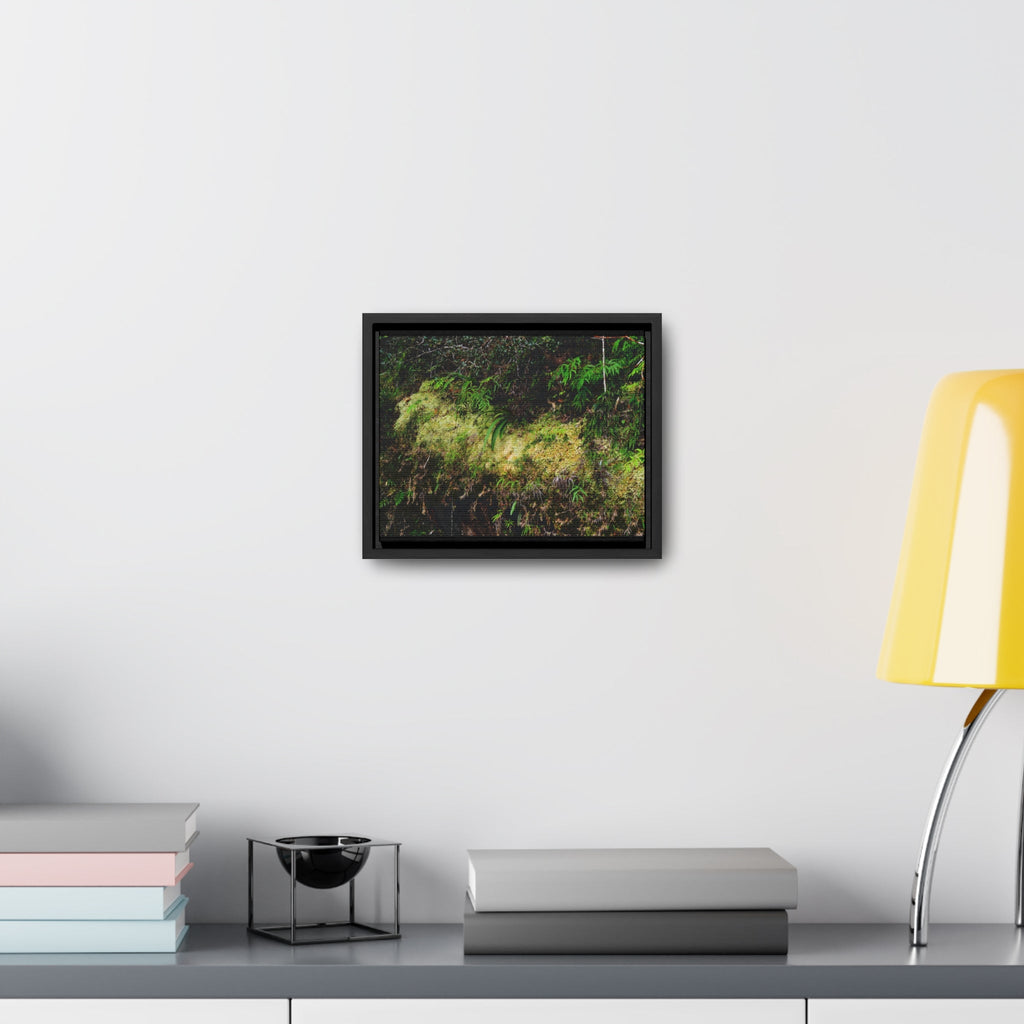 Rainforest Trails & Views - Gallery Canvas Wraps, Horizontal Frame - El Yunque National Forest - PR - PR191 closed road - Huge Boulder with moss - Green Forest Home
