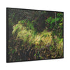 Rainforest Trails & Views - Gallery Canvas Wraps, Horizontal Frame - El Yunque National Forest - PR - PR191 closed road - Huge Boulder with moss - Green Forest Home