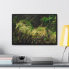 Rainforest Trails & Views - Gallery Canvas Wraps, Horizontal Frame - El Yunque National Forest - PR - PR191 closed road - Huge Boulder with moss - Green Forest Home