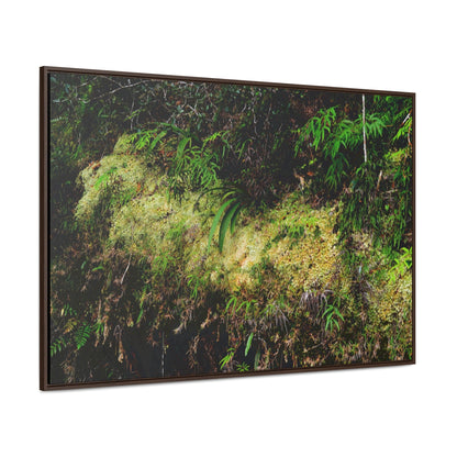 Rainforest Trails & Views - Gallery Canvas Wraps, Horizontal Frame - El Yunque National Forest - PR - PR191 closed road - Huge Boulder with moss - Green Forest Home