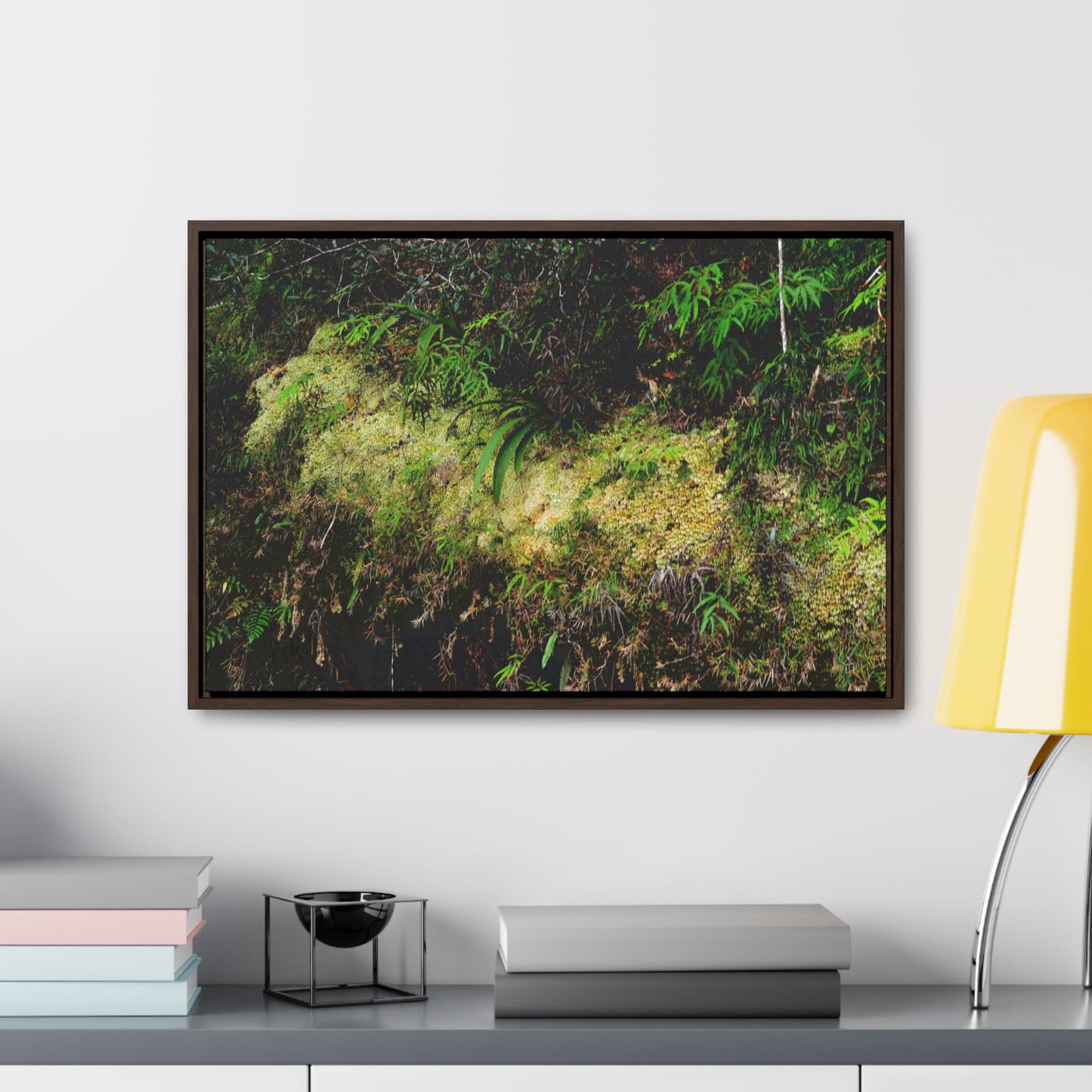 Rainforest Trails & Views - Gallery Canvas Wraps, Horizontal Frame - El Yunque National Forest - PR - PR191 closed road - Huge Boulder with moss - Green Forest Home