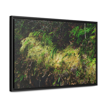 Rainforest Trails & Views - Gallery Canvas Wraps, Horizontal Frame - El Yunque National Forest - PR - PR191 closed road - Huge Boulder with moss - Green Forest Home