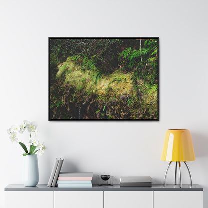 Rainforest Trails & Views - Gallery Canvas Wraps, Horizontal Frame - El Yunque National Forest - PR - PR191 closed road - Huge Boulder with moss - Green Forest Home