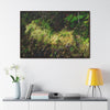 Rainforest Trails & Views - Gallery Canvas Wraps, Horizontal Frame - El Yunque National Forest - PR - PR191 closed road - Huge Boulder with moss - Green Forest Home