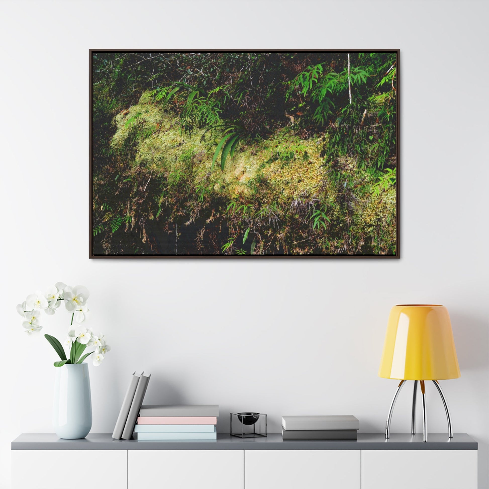 Rainforest Trails & Views - Gallery Canvas Wraps, Horizontal Frame - El Yunque National Forest - PR - PR191 closed road - Huge Boulder with moss - Green Forest Home