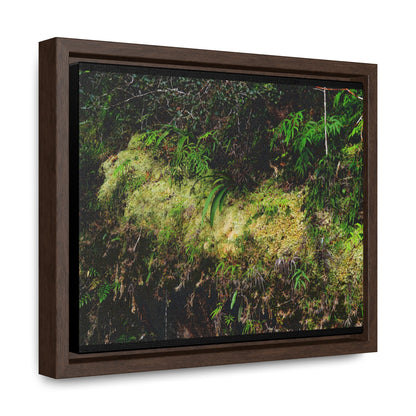 Rainforest Trails & Views - Gallery Canvas Wraps, Horizontal Frame - El Yunque National Forest - PR - PR191 closed road - Huge Boulder with moss - Green Forest Home