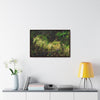 Rainforest Trails & Views - Gallery Canvas Wraps, Horizontal Frame - El Yunque National Forest - PR - PR191 closed road - Huge Boulder with moss - Green Forest Home