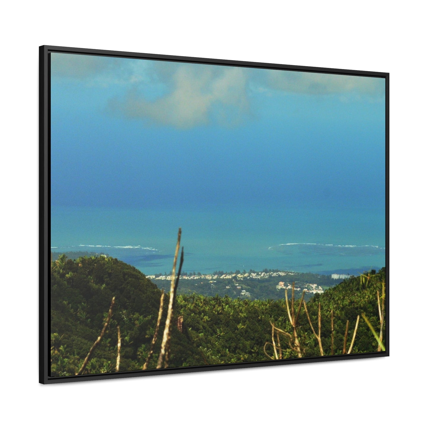 Rainforest Trails & Views - Gallery Canvas Wraps, Horizontal Frame - El Yunque National Forest - PR - Urbanization gets closer - view from Tres Picachos - Green Forest Home