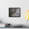 Rainforest Trails & Views - Gallery Canvas Wraps, Horizontal Frame - El Yunque National Forest - Puerto Rico - A closeup of the Yagrumo Tree leaves - white below - Green Forest Home