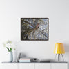 Rainforest Trails & Views - Gallery Canvas Wraps, Horizontal Frame - El Yunque National Forest - Puerto Rico - A closeup of the Yagrumo Tree leaves - white below - Green Forest Home