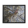 Rainforest Trails & Views - Gallery Canvas Wraps, Horizontal Frame - El Yunque National Forest - Puerto Rico - A closeup of the Yagrumo Tree leaves - white below - Green Forest Home