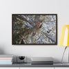 Rainforest Trails & Views - Gallery Canvas Wraps, Horizontal Frame - El Yunque National Forest - Puerto Rico - A closeup of the Yagrumo Tree leaves - white below - Green Forest Home
