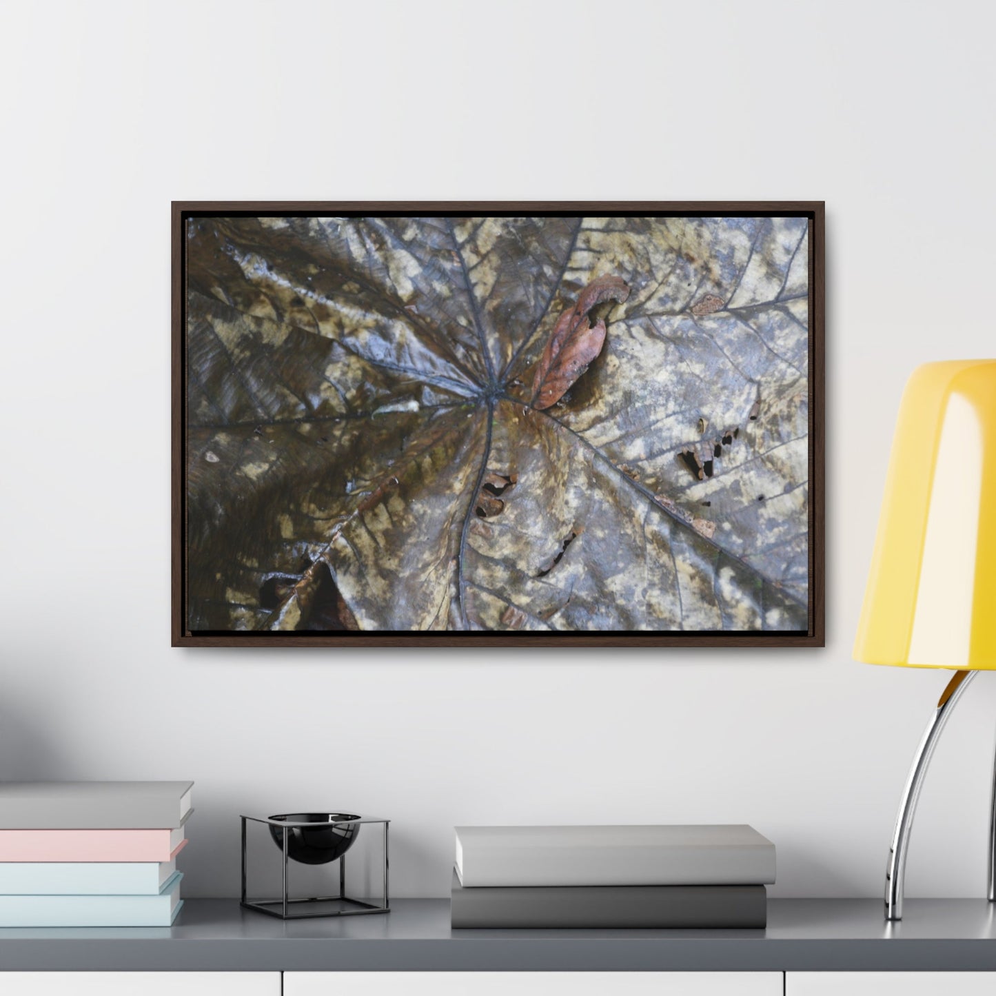 Rainforest Trails & Views - Gallery Canvas Wraps, Horizontal Frame - El Yunque National Forest - Puerto Rico - A closeup of the Yagrumo Tree leaves - white below - Green Forest Home