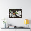 Rainforest Trails & Views - Gallery Canvas Wraps, Horizontal Frame - El Yunque National Forest - Puerto Rico - A decaying pair of Yagrumo leaves - which creates many patterns - Green Forest Home