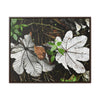 Rainforest Trails & Views - Gallery Canvas Wraps, Horizontal Frame - El Yunque National Forest - Puerto Rico - A decaying pair of Yagrumo leaves - which creates many patterns - Green Forest Home