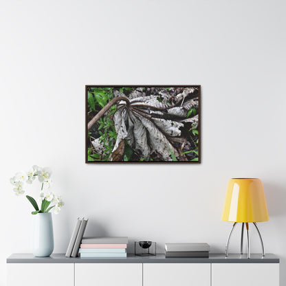 Rainforest Trails & Views - Gallery Canvas Wraps, Horizontal Frame - El Yunque National Forest - Puerto Rico - A decaying Yagrumo leaf - which creates many patterns - Green Forest Home
