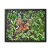 Rainforest Trails & Views - Gallery Canvas Wraps, Horizontal Frame - El Yunque National Forest - Puerto Rico - A decaying Yagrumo leaf - which creates many patterns - Green Forest Home