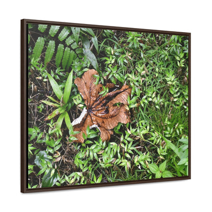 Rainforest Trails & Views - Gallery Canvas Wraps, Horizontal Frame - El Yunque National Forest - Puerto Rico - A decaying Yagrumo leaf - which creates many patterns - Green Forest Home