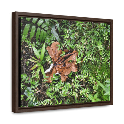 Rainforest Trails & Views - Gallery Canvas Wraps, Horizontal Frame - El Yunque National Forest - Puerto Rico - A decaying Yagrumo leaf - which creates many patterns - Green Forest Home