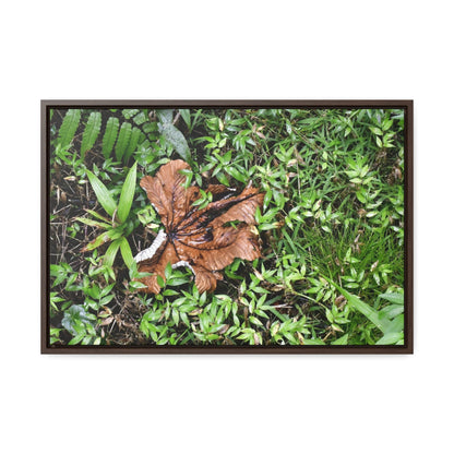 Rainforest Trails & Views - Gallery Canvas Wraps, Horizontal Frame - El Yunque National Forest - Puerto Rico - A decaying Yagrumo leaf - which creates many patterns - Green Forest Home