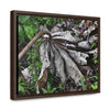 Rainforest Trails & Views - Gallery Canvas Wraps, Horizontal Frame - El Yunque National Forest - Puerto Rico - A decaying Yagrumo leaf - which creates many patterns - Green Forest Home