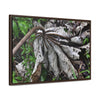 Rainforest Trails & Views - Gallery Canvas Wraps, Horizontal Frame - El Yunque National Forest - Puerto Rico - A decaying Yagrumo leaf - which creates many patterns - Green Forest Home