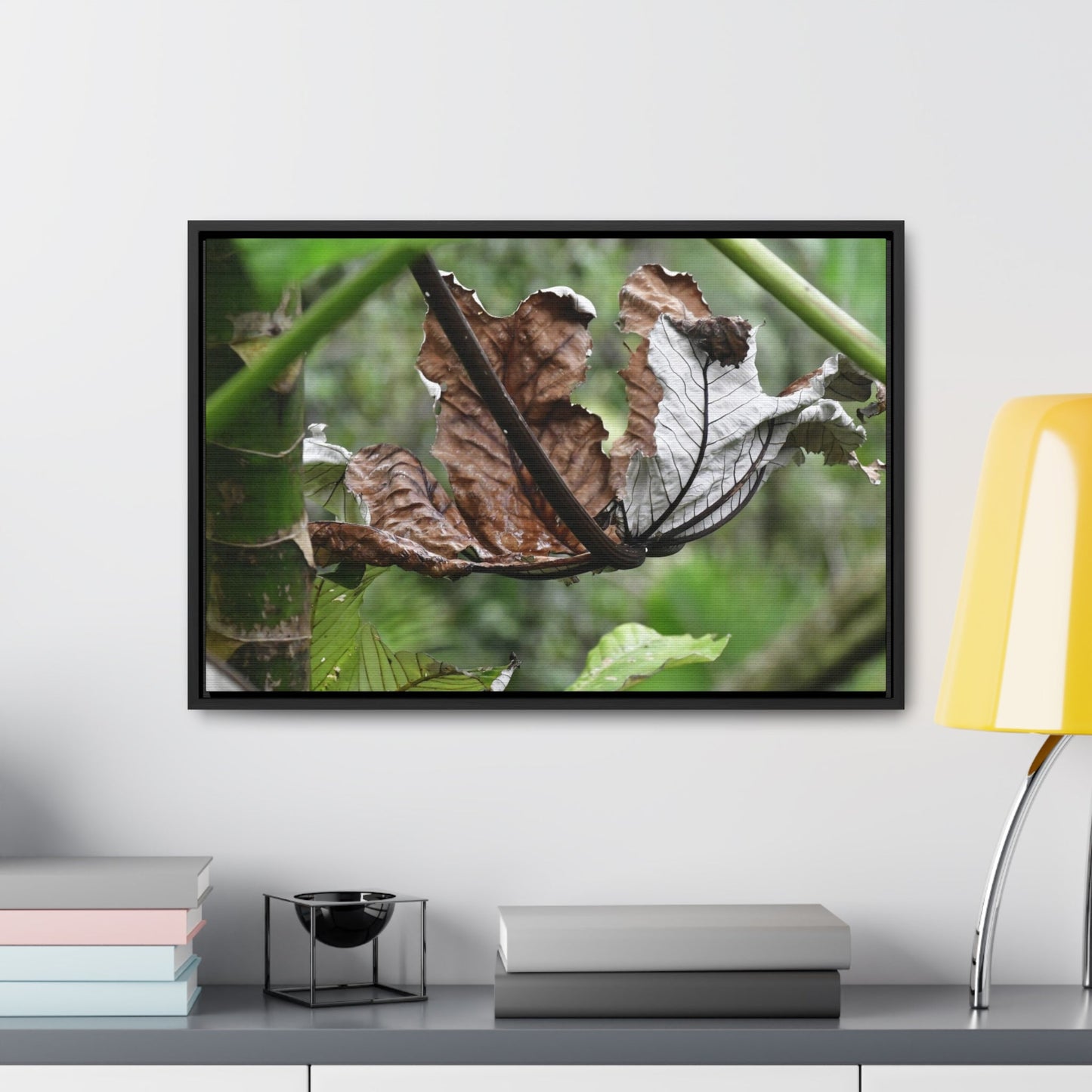 Rainforest Trails & Views - Gallery Canvas Wraps, Horizontal Frame - El Yunque National Forest - Puerto Rico - A decaying Yagrumo leaf - which creates many patterns - Green Forest Home
