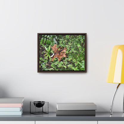 Rainforest Trails & Views - Gallery Canvas Wraps, Horizontal Frame - El Yunque National Forest - Puerto Rico - A decaying Yagrumo leaf - which creates many patterns - Green Forest Home